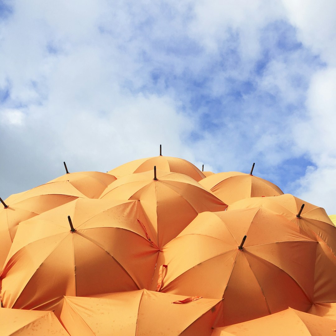 Business Liability Coverage